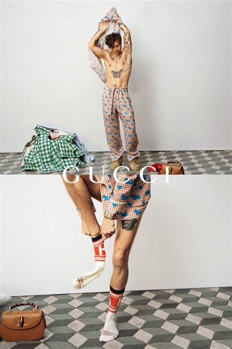 harry gucci campaign|gucci promotional campaign.